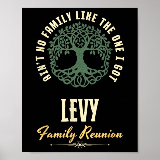 ファミリー懇親会2025マッチングデザイン- Levy ポスター (正面)