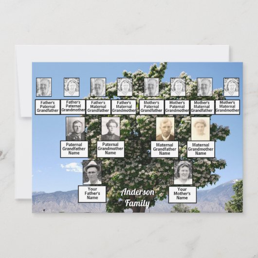 ファミリー懇親会3世代の花付き木 招待状 (正面)