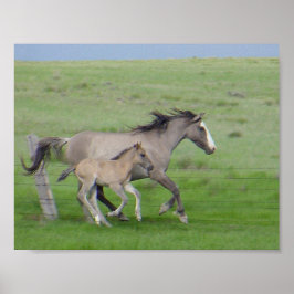 ファミリ実行 ポスター