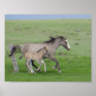 ファミリ実行 ポスター