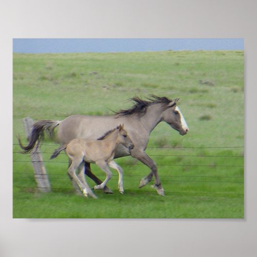 ファミリ実行 ポスター (正面)