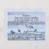 ファミリ懇親会スペインの 案内ポストカード (正面/裏面)