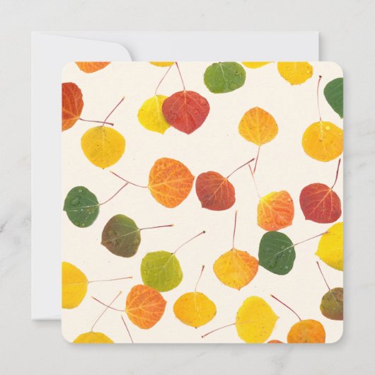 ファミリ懇親会保存日付秋《植物》アスペン葉 (裏面)