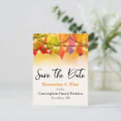 ファミリ懇親会日付文字列ライトを保存葉する 案内ポストカード (スタンド正面)