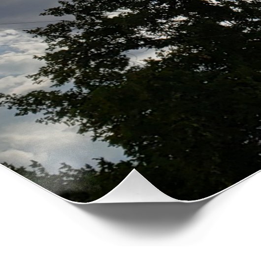 ファミリ懇親会3世代の雲と木 ポスター (コーナー)