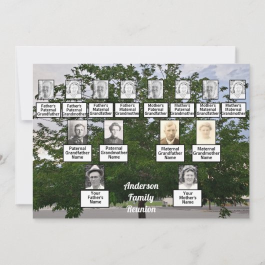 ファミリ懇親会3世代夏期ツリー 招待状 (正面)