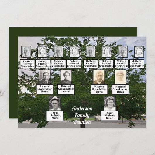 ファミリ懇親会3世代夏期ツリー 招待状 (正面/裏面)