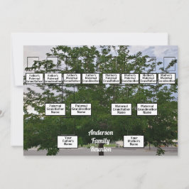 ファミリ懇親会3世代夏期ツリー 招待状