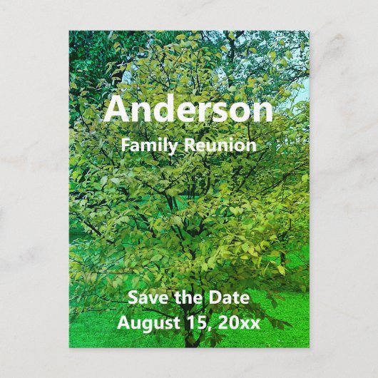 ファミリ懇親会（ツリー）緑と白の日付を保存 ポストカード (正面)