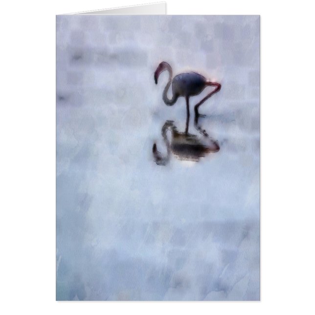 ファミンゴ歩くインヒザーウォーター (正面)