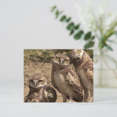 ファム・ユイル ポストカード (スタンド正面)