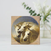 ファラオの馬1848 JFヘリング、シニア高精細カード (スタンド正面)