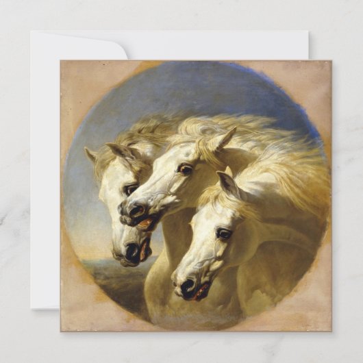 ファラオの馬1848 JFヘリング、シニア高精細カード (正面)