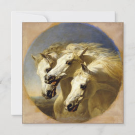 ファラオの馬1848 JFヘリング、シニア高精細カード