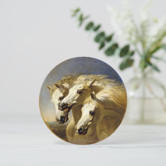 ファラオの馬1848 JFヘリング、シニア高精細カード (スタンド正面)