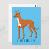 ファラオ犬の漫画イラストレーション ポストカード (正面/裏面)