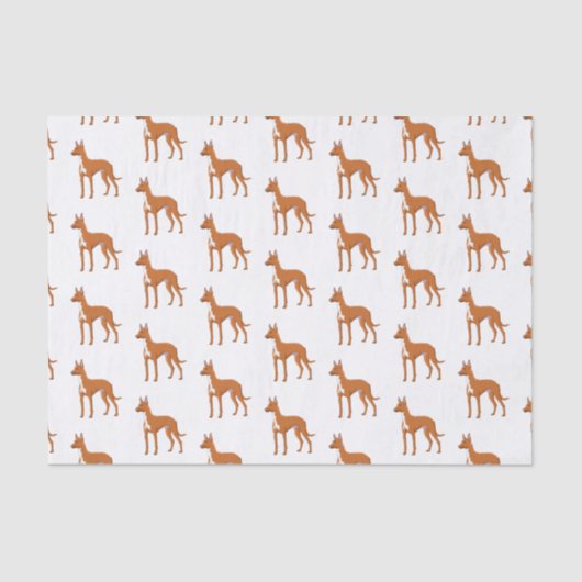 ファラオ犬の漫画イラストレーション 薄葉紙 (正面)