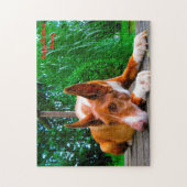 ファラオ・ハウンド・ドッグ。 ジグソーパズル (縦)