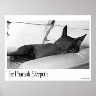 ファラオ・ハウンド | The Pharoah Sleeps ポスター