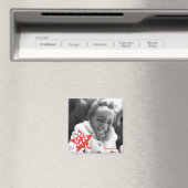 ファラスタースタッズ マグネット (インサイチュ (食洗機))