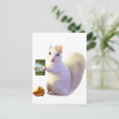 ファランディア・オゼットの運命からの物語 ポストカード (スタンド正面)