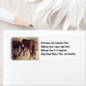 ファリアー – 美しい馬の写真ホフトリミング ラベル (インサイチュ)