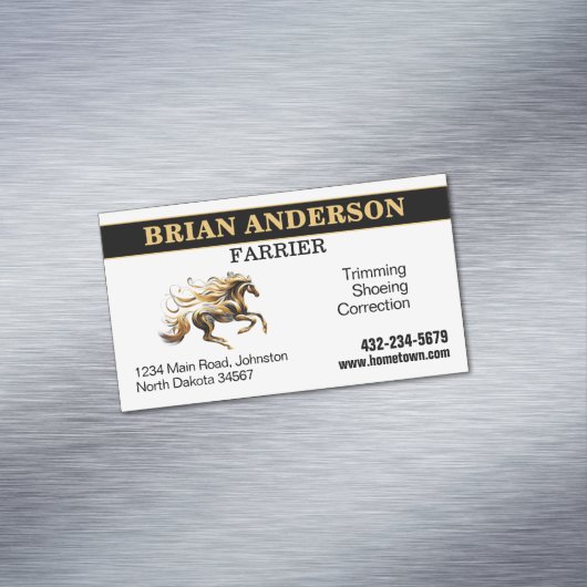 ファリア マグネット名刺 (インサイチュ)