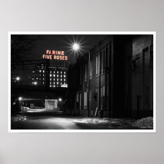 ファリーヌ5バラ ポスター (正面)