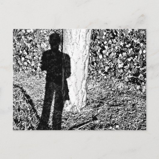 ファリー・シャドウ ポストカード (正面)