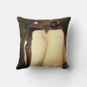 ファルクランズ諸島。Gentooペンギン。(火砕石) クッション (裏面)