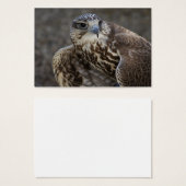 ファルコチェルグ (正面&裏面)