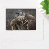 ファルコチェルグ (デスク)