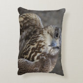 ファルコチェルグ アクセントクッション (裏面(縦))