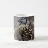 ファルコチェルグ コーヒーマグカップ (中央)