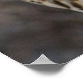 ファルコチェルグ ポスター (角)