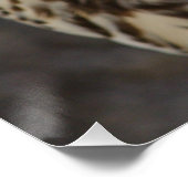 ファルコチェルグ ポスター (コーナー)