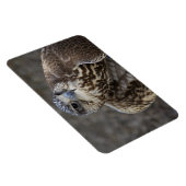 ファルコチェルグ マグネット (右側)