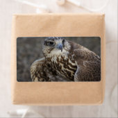 ファルコチェルグ ラベル (インサイチュ)