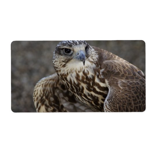 ファルコチェルグ ラベル (正面)