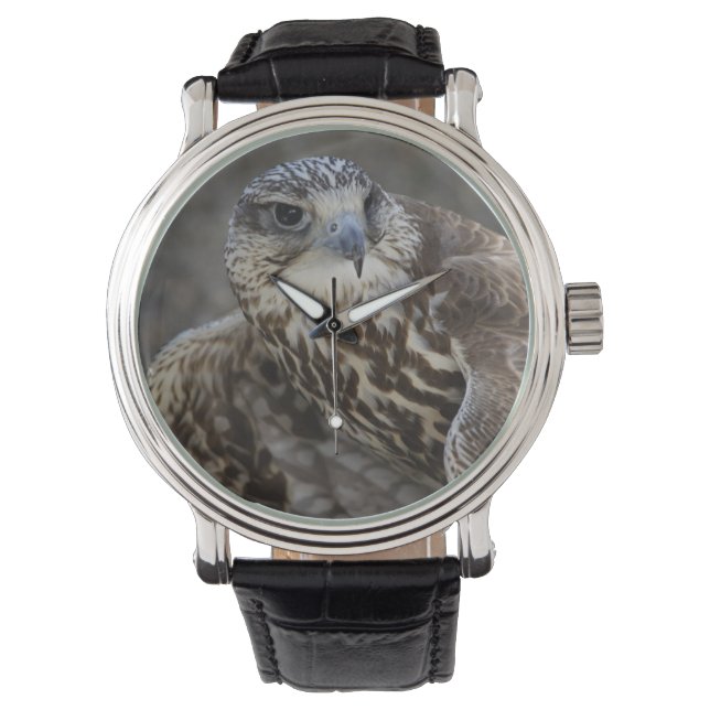 ファルコチェルグ 腕時計 (正面)