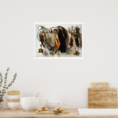 ファルコリー設備 – 1650 ポスター (キッチン)