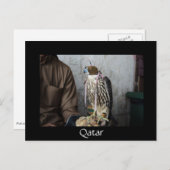 ファルコリー《鳥》ハヤブサブラックカタールポストカード ポストカード (正面/裏面)