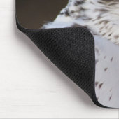 ファルコ・ラスティコルス マウスパッド (コーナー)