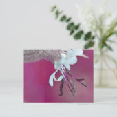 ファルベンフ ポストカード (スタンド正面)