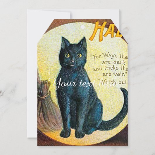 ファルンメリーハロウィーン猫 (正面)