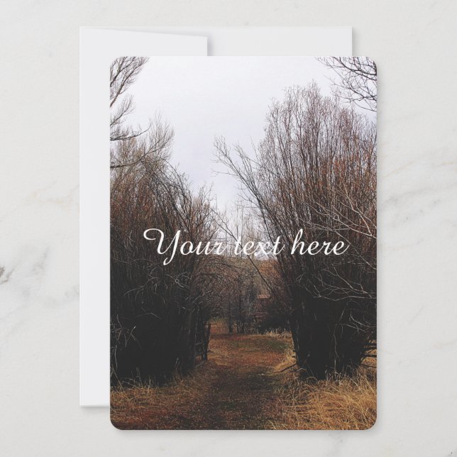 ファルン·バナック過成長 (正面)