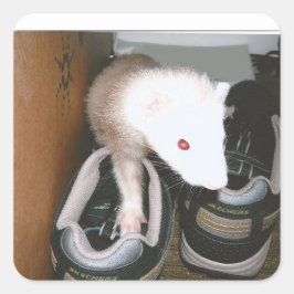 ファレットと靴 スクエアシール