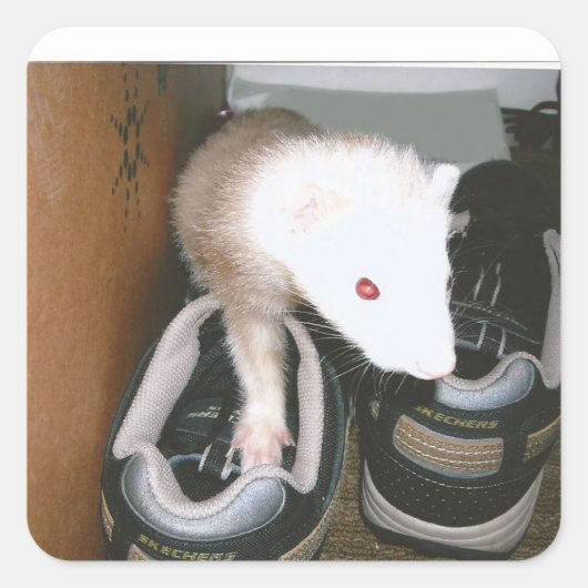 ファレットと靴 スクエアシール (正面)