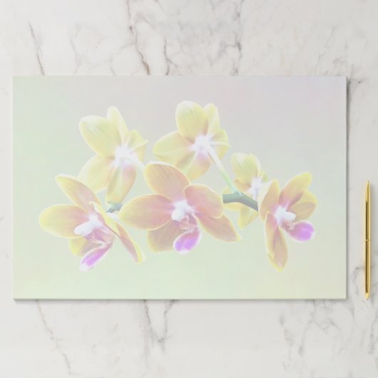 ファレノプシスオーキッドタイダプライドキュピド ペーパーパッド (インサイチュ)