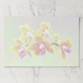 ファレノプシスオーキッドタイダプライドキュピド ペーパーパッド (正面)